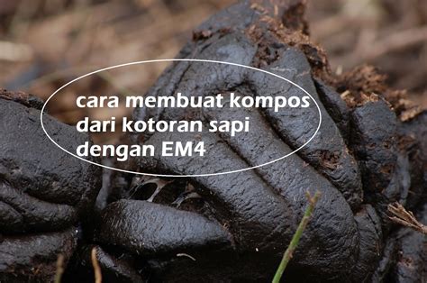 Cara Membuat Pupuk Organik Dari Kotoran Sapi Menggunakan Em4